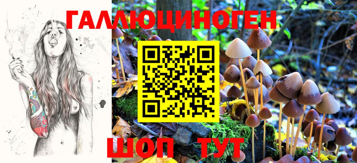 Псилоцибиновые грибы мицелий  Вход с VPN  Ижевск 