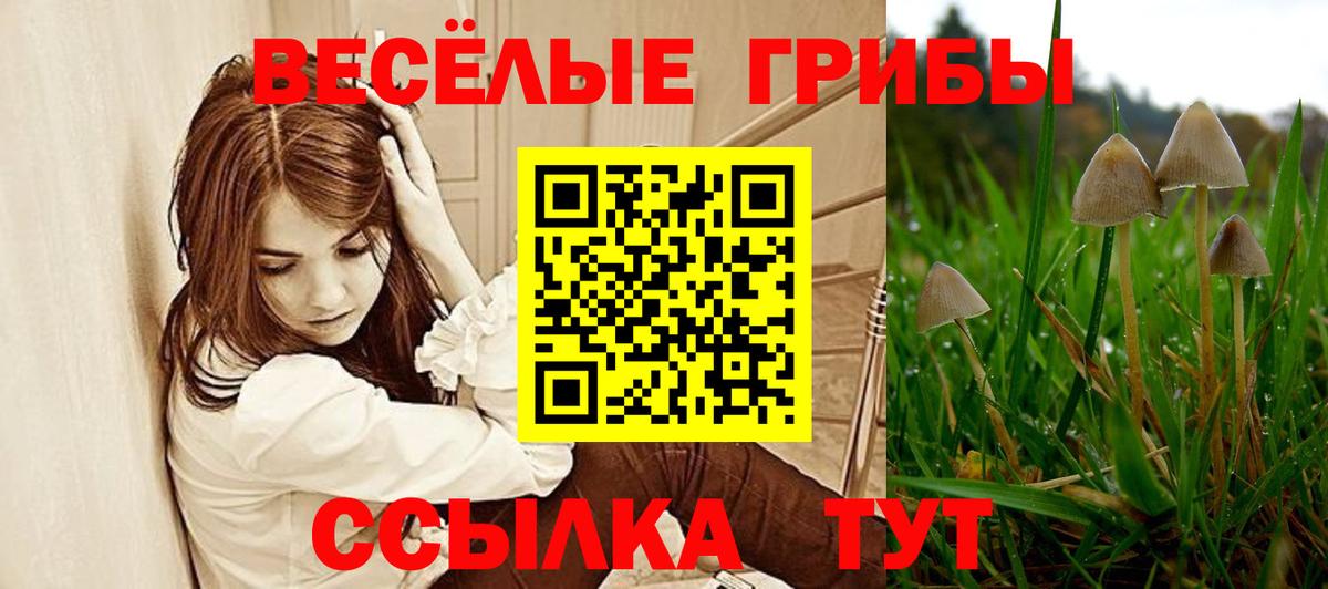 Галлюциногенные грибы мухоморы Ижевск